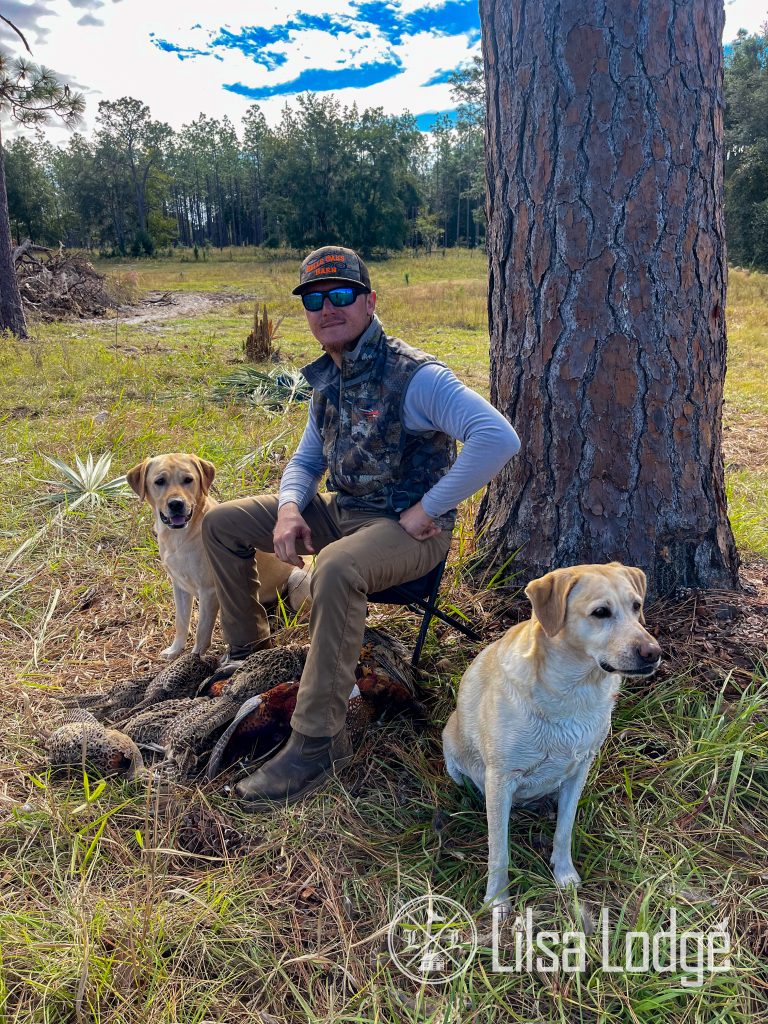 lilsa-lodge-tower-shoot-labrador-retriever-bird-hunting-dogs