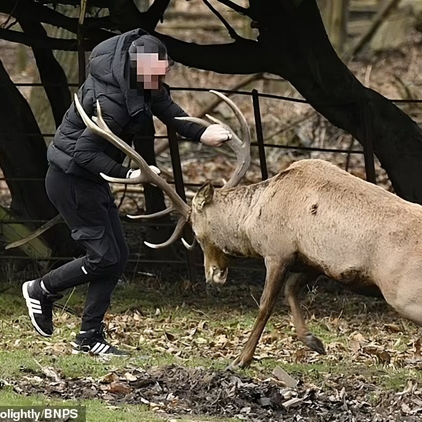 Wildlife-safety-hunting-distance