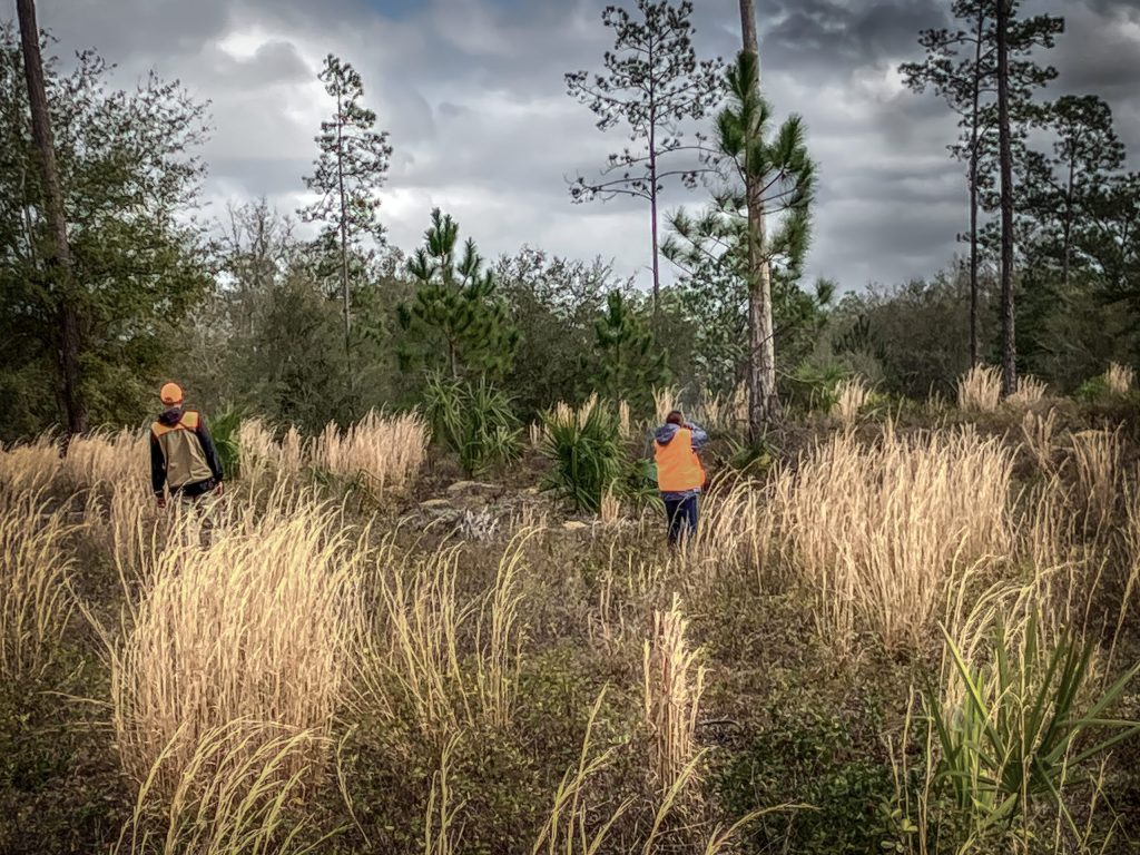 quil hunting-safety-checklist