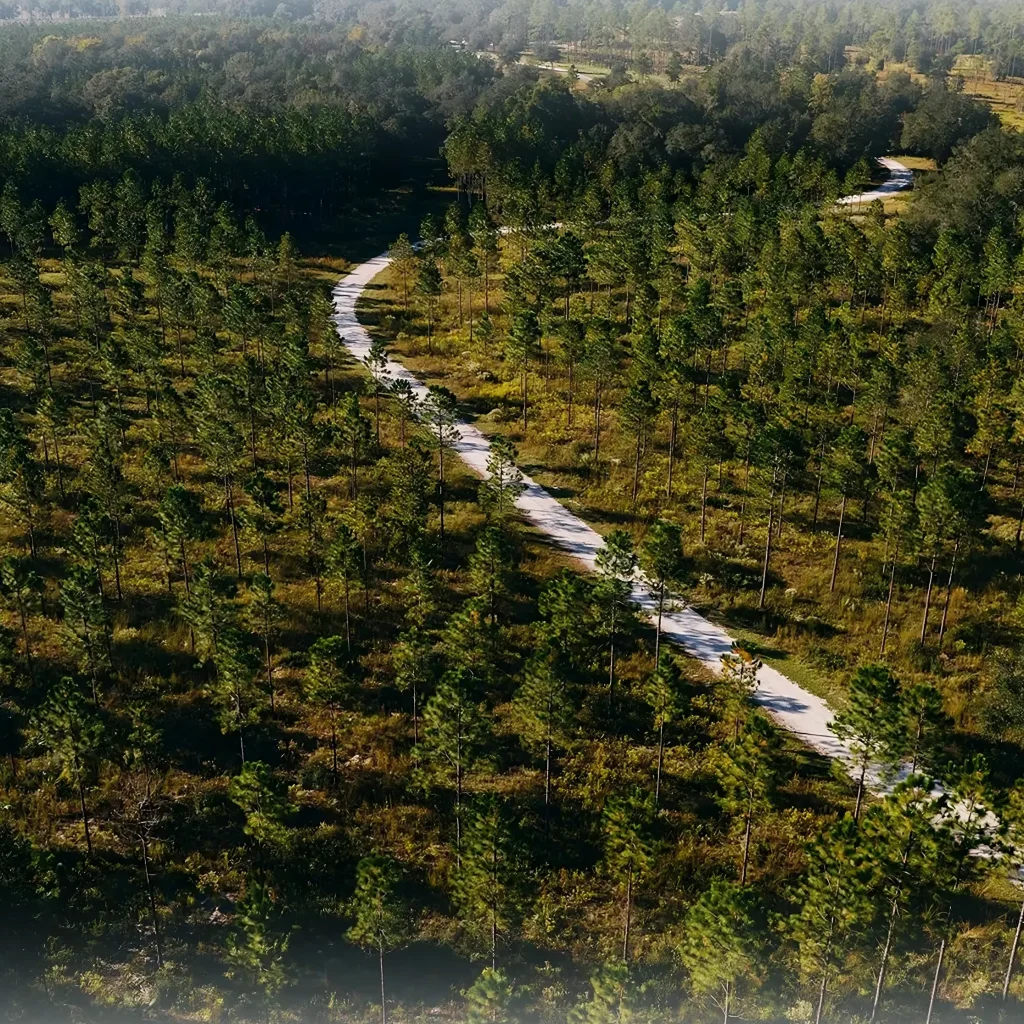 lilsa lodge property