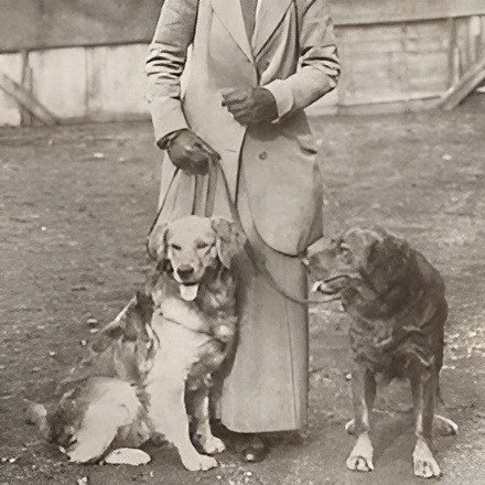 history of golden retrievers