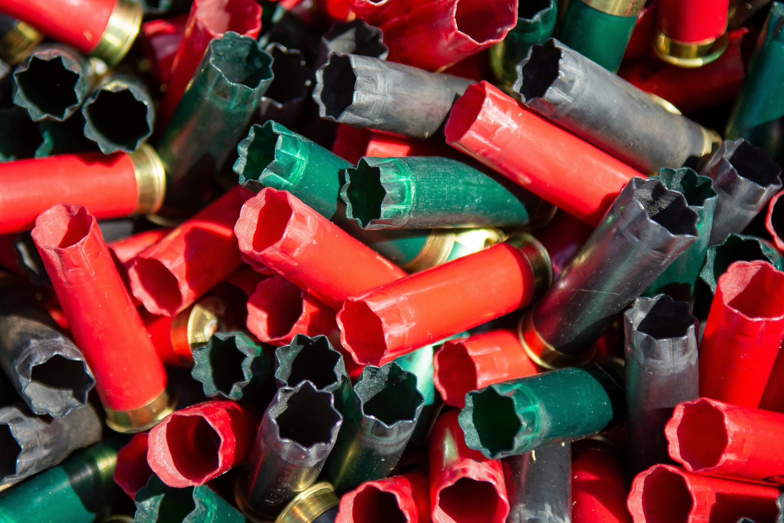 shotgun gauge shells