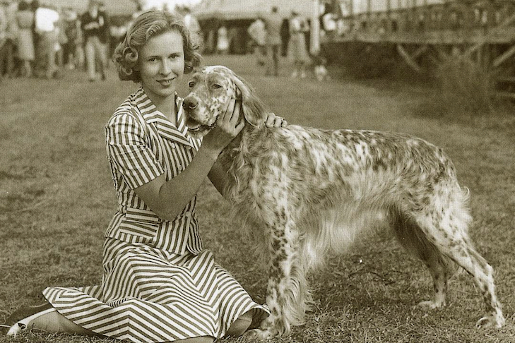 history of english setter