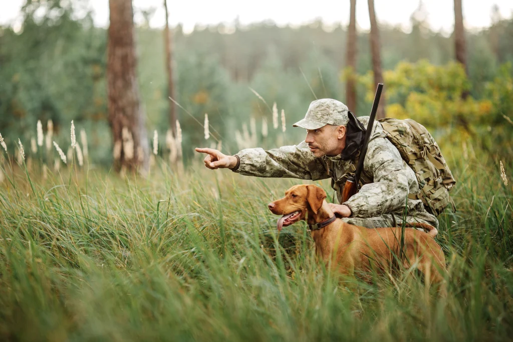 camouflage hunting dog hunter shotgun