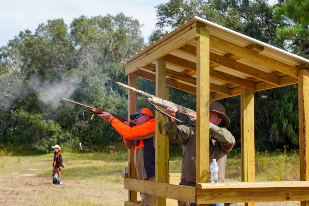 Shooting shotguns during quail hunt